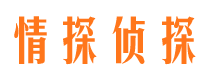 双塔市私家侦探